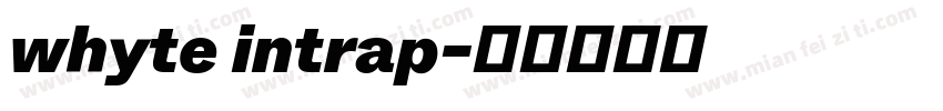 whyte intrap字体转换